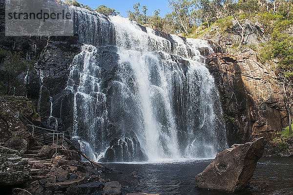Mac-Kenzie-Wasserfälle  Grampians National Park  Victoria  Australien