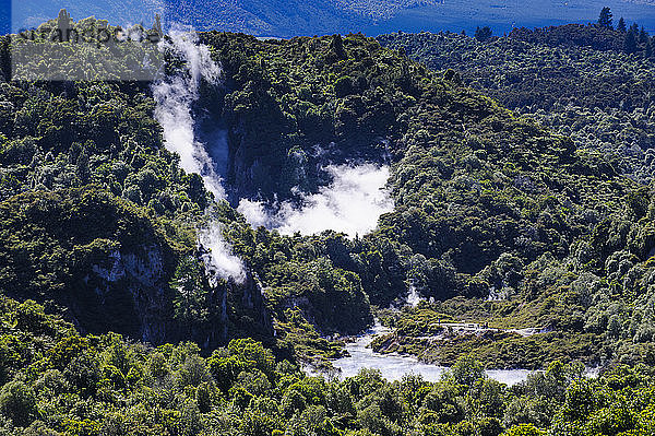 Geothermisches Aktivfeld im Waimangu-Vulkangraben  Nordinsel  Neuseeland