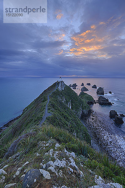 Neuseeland  Südinsel  Südliche Landschaftsroute  Catlins  Leuchtturm von Nugget Point am Morgen