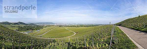 Panoramablick über die Weinberge am Kappelberg im Frühling  Fellbach  Deutschland