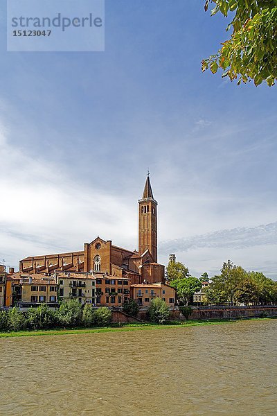 Campanile di Santa Anastasia  Verona  Venetien  Italien  Europa