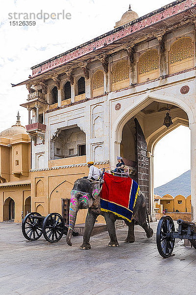Elefanten  die durch das Eingangstor des Amer (Amber) Palace and Fort  UNESCO-Weltkulturerbe  Amer  Jaipur  Rajasthan  Indien  Asien  laufen