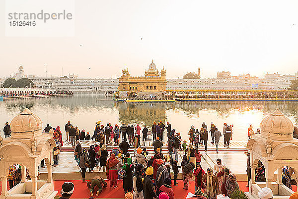 Menschenmengen versammeln sich zum Gebet und beobachten den Sonnenuntergang am Goldenen Tempel  Amritsar  Punjab  Indien  Asien