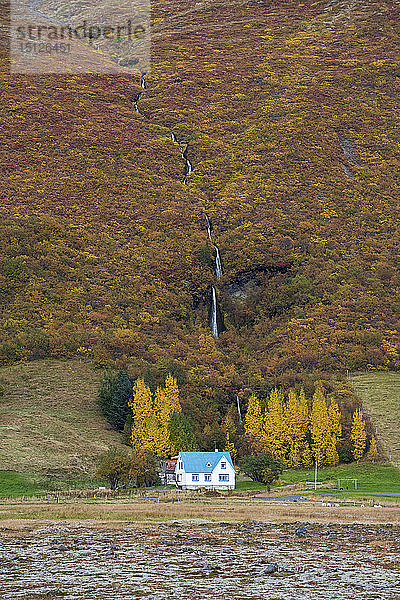 Isländisches Haus im Herbst im Skaftafell-Nationalpark  Südisland  Island  Polarregionen