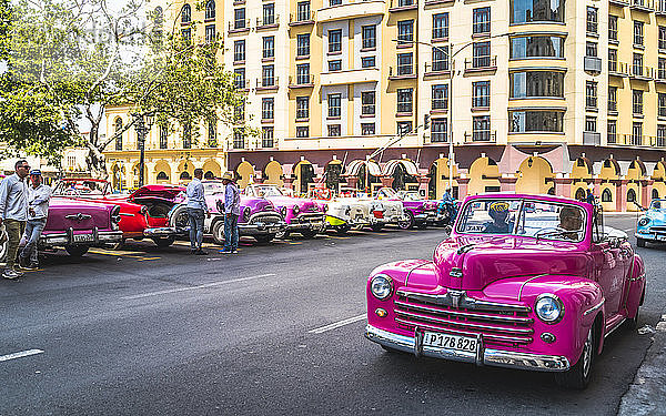 Bunte alte amerikanische Taxis in Havanna  La Habana  Kuba  Westindien  Karibik  Mittelamerika geparkt