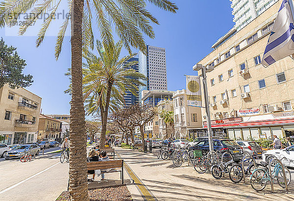 Blick auf Palmen und Gehweg am Rothschild Boulevard  Tel Aviv  Israel  Naher Osten