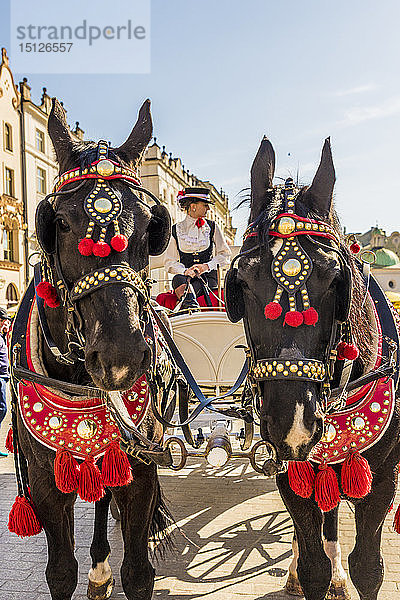 Pferdekutsche auf dem Hauptplatz  Rynek Glowny  in der mittelalterlichen Altstadt  UNESCO-Weltkulturerbe  Krakau  Polen  Europa