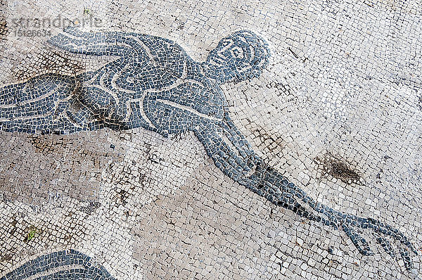 Frigidarium der Terme del Nuotatore  Mosaik eines Schwimmers  archäologische Ausgrabungsstätte Ostia Antica  Ostia  Provinz Rom  Latium  Italien  Europa