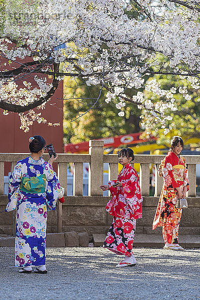 Frauen in Kimonos  Sensoji-Tempel  Asakusa  Tokio  Japan  Asien