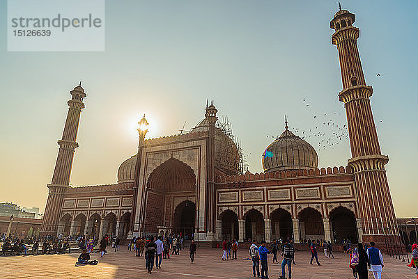Sonnenuntergang an der Jama Masjid  Alt-Delhi  Indien  Asien