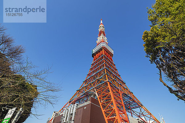 Tokyo Tower  Roppongi  Tokio  Japan  Asien