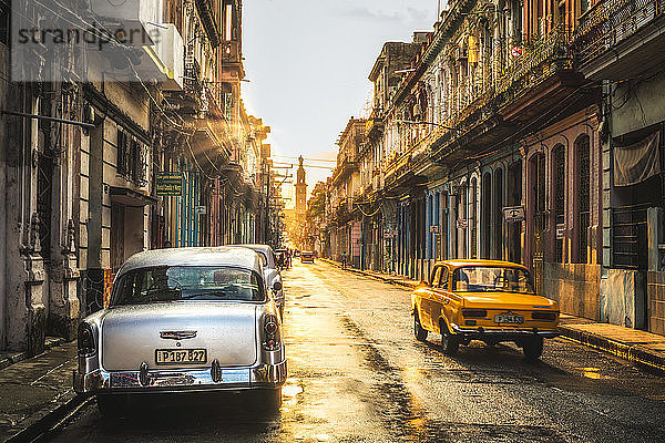 Amerikanische und russische Oldtimer bei Sonnenuntergang  La Habana (Havanna)  Kuba  Westindien  Karibik  Mittelamerika