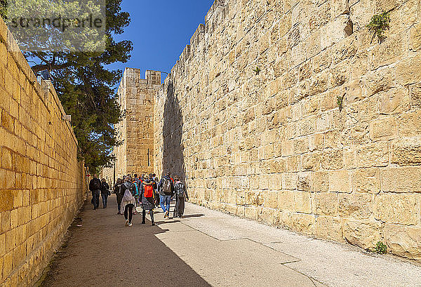Reisegruppe an der alten Stadtmauer  Altstadt  Altstadt  UNESCO-Weltkulturerbe  Jerusalem  Israel  Naher Osten