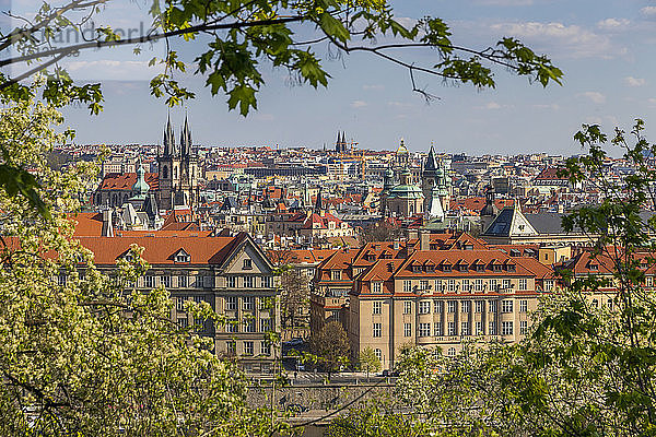 Blick vom Letna-Park über die Altstadt  UNESCO-Weltkulturerbe  Prag  Böhmen  Tschechische Republik  Europa