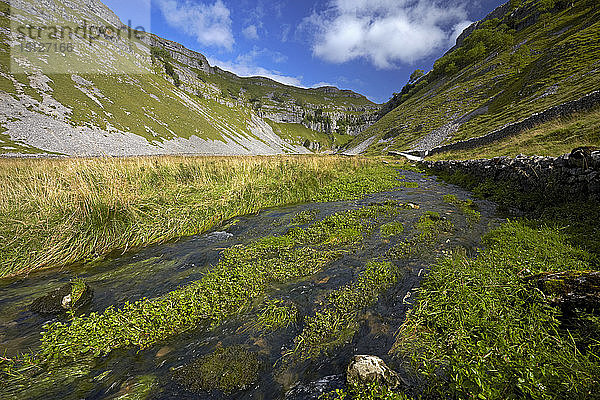 Blick von Gordale Beck auf Gordale Scar  Yorkshire Dales National Park  North Yorkshire  England  Vereinigtes Königreich  Europa