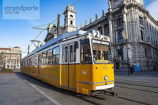 Straßenbahn  das Hauptverkehrssystem in Budapest  Ungarn  Europa