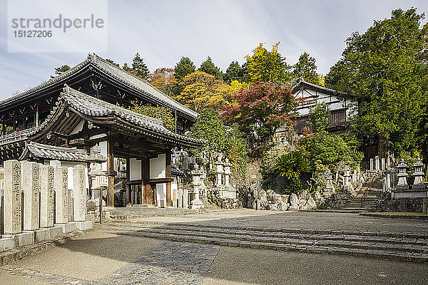 Herbstfarben um Todaiji Hokkedo in Nara  Japan  Asien