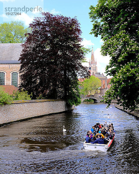 Touristenboot in den Grachten von Brügge mit der Liebfrauenkirche im Hintergrund  Brügge  Belgien  Europa