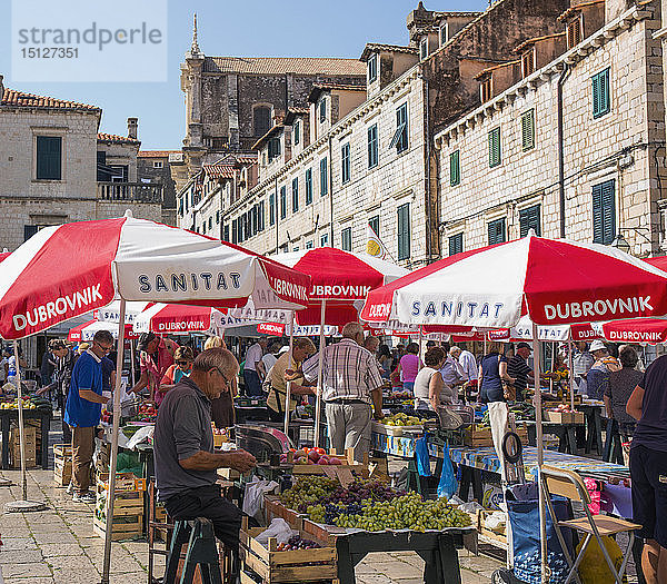 Bunter Obst- und Gemüsemarkt auf dem Gundulic-Platz  Gunduliceva Poljana  Dubrovnik  Dubrovnik-Neretva  Dalmatien  Kroatien  Europa