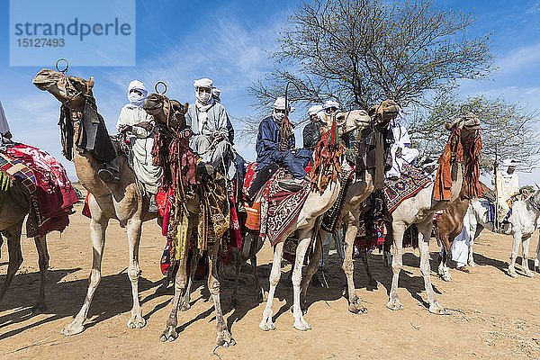 Bunte Kamelreiter bei einem Stammesfest  Sahel  Tschad  Afrika