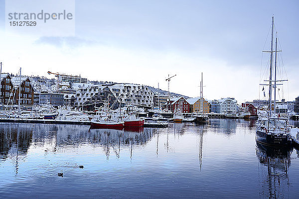 Hafen von Tromso  Tromso  Provinz Troms  Norwegen  Skandinavien  Europa