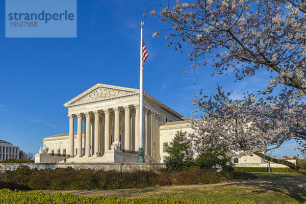 Blick auf den Supreme Court of the United States im Frühling  Washington D.C.  Vereinigte Staaten von Amerika  Nordamerika