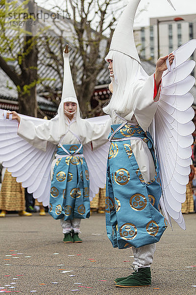 Hakucho Fest des weißen Schwans (weißer Reiher)  Sensoji-Tempel  Asakusa  Tokio  Japan  Asien