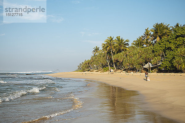 Weligama  Südküste  Sri Lanka  Asien