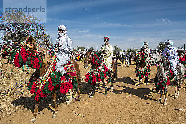 Bunte Pferde und Reiter bei einem Stammesfest  Sahel  Tschad  Afrika