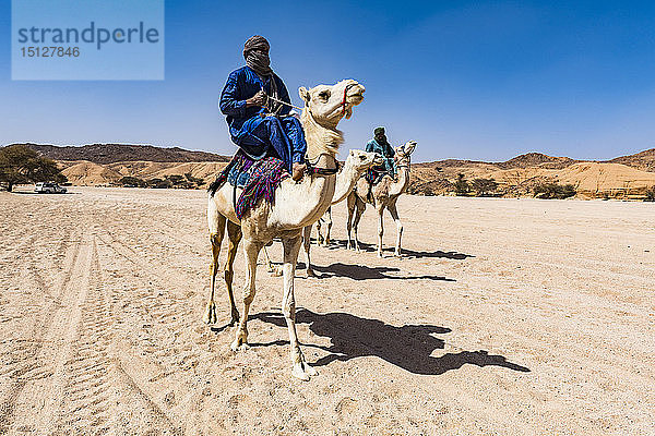 Tuareg reiten auf ihren Kamelen  nahe Tamanrasset  Algerien  Nordafrika  Afrika