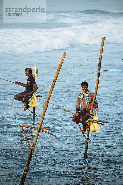 Stelzenfischer in der Morgendämmerung  Weligama  Südküste  Sri Lanka  Asien