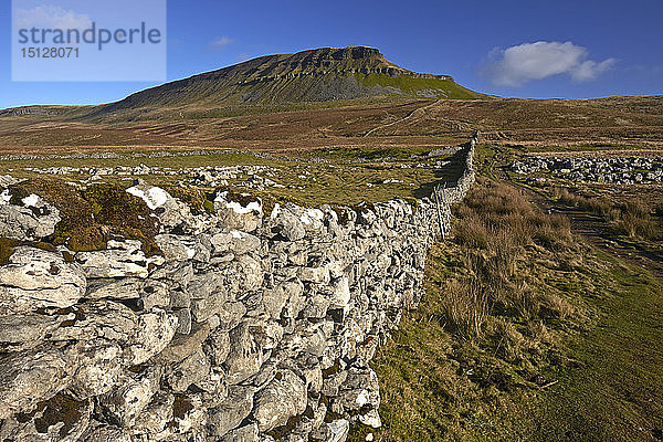 Eine Ansicht von Penyghent in Ribblesdale  Yorkshire Dales National Park  North Yorkshire  England  Vereinigtes Königreich  Europa