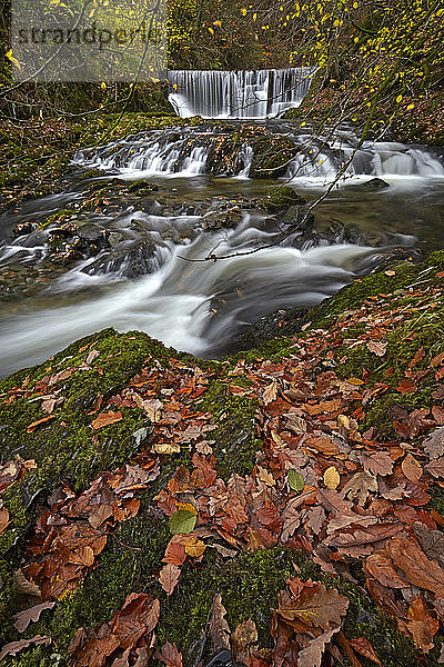 Herbst in Stock Ghyll  Ambleside  Lake District National Park  UNESCO-Weltkulturerbe  Cumbria  England  Vereinigtes Königreich  Europa