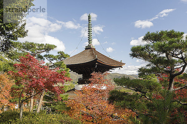 Herbstfarben im Jojakko-ji-Tempel in Arashiyama  Kyoto  Japan  Asien