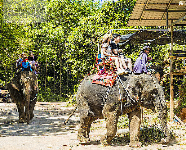 Touristen auf einem Elefantenritt in Phuket  Thailand  Südostasien  Asien
