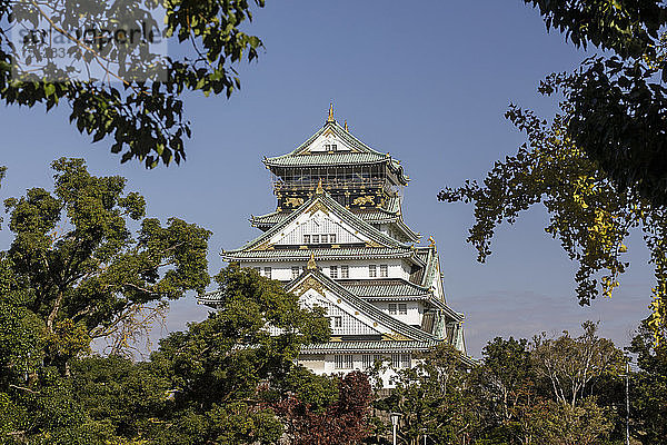 Schloss Osaka  Osaka  Japan  Asien