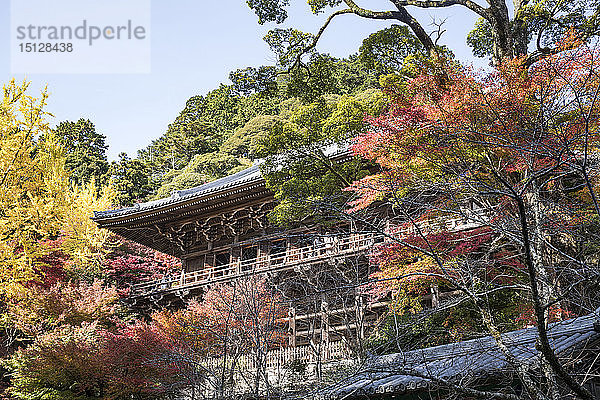 Shoshazan Engyo-ji-Tempel auf dem Berg Shosha  Himeji  Kansai  Japan  Asien