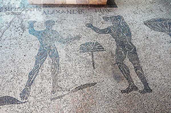 Mosaike  Caupona di Alexander e Helix  archäologische Ausgrabungsstätte Ostia Antica  Ostia  Provinz Rom  Latium  Italien  Europa