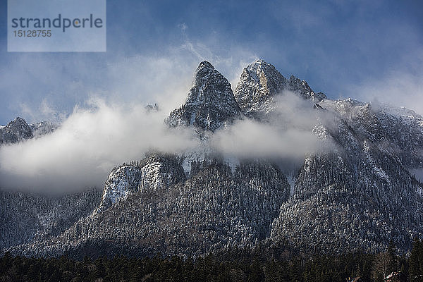 Winterlandschaft der Bucegi-Berge  Karpaten  Sinaia  Rumänien  Europa