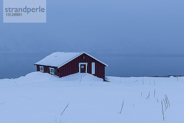 Rotes Haus teilweise im Schnee begraben in Winterszene auf den Lofoten  Arktis  Norwegen  Europa