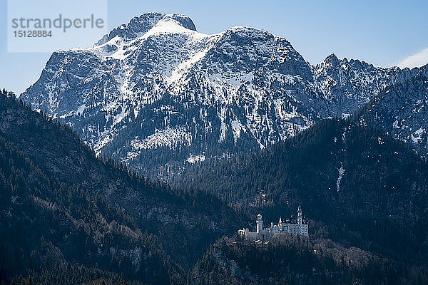 Schloss Neuschwanstein  mit den Alpen im Hintergrund  Schwangau  Bayern  Deutschland  Europa