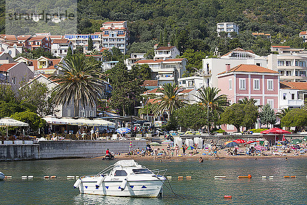 Blick vom Hafen auf den Stadtstrand und die palmengesäumte Strandpromenade  Petrovac  Budva  Montenegro  Europa