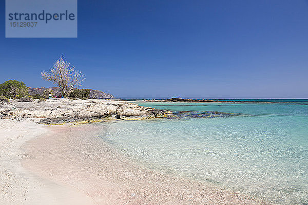 Blick über das klare türkisfarbene Wasser vom rosa Sandstrand  Insel Elafonisi  Elafonisi  Chania  Kreta  Griechische Inseln  Griechenland  Europa
