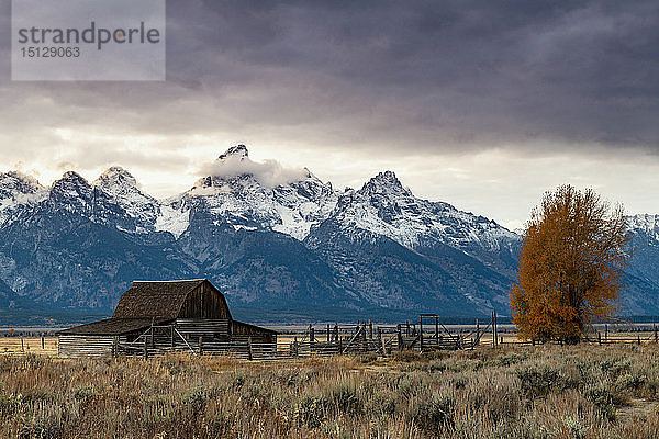 Mormon Row und Teton Range  Grand Teton National Park  Wyoming  Vereinigte Staaten von Amerika  Nordamerika