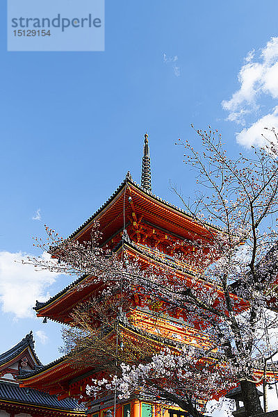 Kiyomizu-dera-Tempel  UNESCO-Weltkulturerbe  Kyoto  Japan  Asien