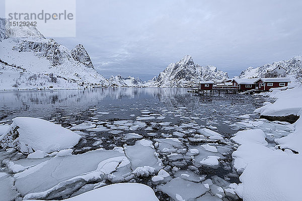 Reine im Winter  Moskenes  auf den Lofoten  Arktis  Norwegen  Europa