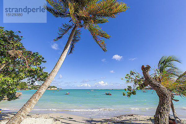 Strand La Datcha  Pointe-a-Pitre  Guadeloupe  Französische Antillen  Westindische Inseln  Karibik  Mittelamerika