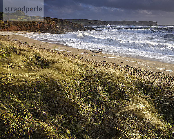 Der Strand von Thurlestone während eines Sturms  in der Nähe von Kingsbridge  Devon  England  Vereinigtes Königreich  Europa