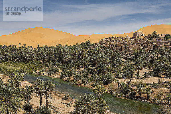 Blick über die Oase von Taghit  Westalgerien  Nordafrika  Afrika