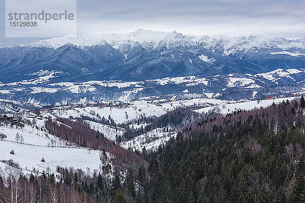 Karpaten verschneite Winterlandschaft  Pestera  Bran  Transsylvanien  Rumänien  Europa